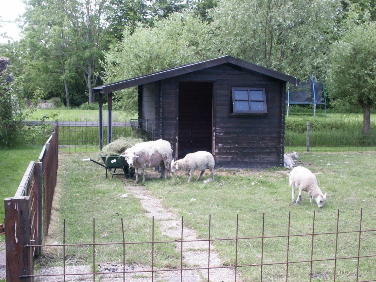 Ferienwohnung De Wilgenhof Finsterwolde Exterior foto